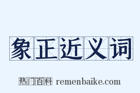 象正近义词是什么意思的图片
